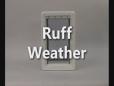 Ideal Pet Products Ruff Weather Demo