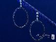 Sterling Silver Black CZ Circle Drop Earrings