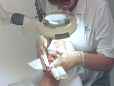 NEW-AcneClearingFacial550x306