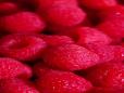 Raspberries