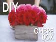 10_DIY-Ombre-Box_Facebook_FINAL