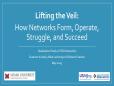 Lifting the Veil: How Networks Form, Operate, Struggle and Succeed