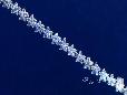 Sterling Silver Diamond CZ Flower Tennis Bracelet