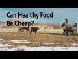 StudentCam 2022 3rd Prize - Can Healthy Food Be Cheap?