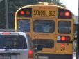 Safety Around School Buses