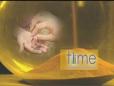 Introduction to TIME at St. Luke's UMC