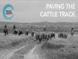 Are You Paving the Cattle Track