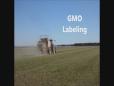 GMO Labeling