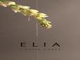 Elia Body Oil