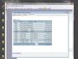 AA Calling a Stored Procedure Video Part 1