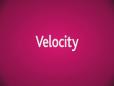 Velocity interview with Schalk Brits