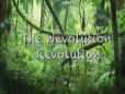 The Wevolution Revolution