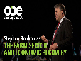 The farm sector and economic recovery