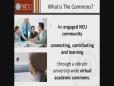 Faculty Resource Center Monthly Webinar Looking into The Commons:  How will this serve us?