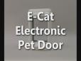 Perfect Pet Products E-Cat Demo