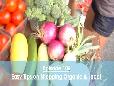 Easy Tips on Shopping Organic & Local - Made Fit TV - Ep 106