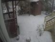 Snow falling in the backyard