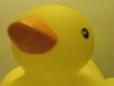 YJ 020: Meet Albert The Bath Duck