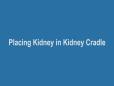Ch 6 Placing Kidney in Kidney Cradle