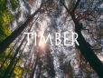 'Timber'