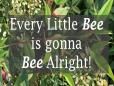 C-SPAN StudentCam 2024 3rd Prize Middle School Division - Every Little Bee is Gonna Bee Alright