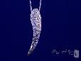 CZ Angel Wing Necklace in Sterling Silver