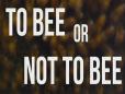 To Bee or Not to Bee