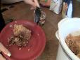 Crock Pot Tamale Pie Recipe