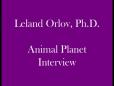 Dr. Leland Orlov, Ph.D.