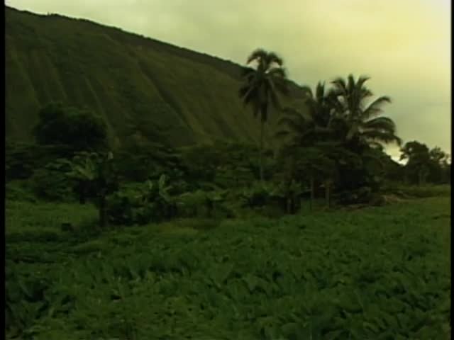 Interview with Eddie Thomas and b-roll footage of Waipiʻo Valley 7/8/87