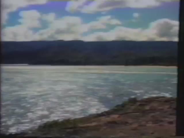 Koʻolauloa : January 1977