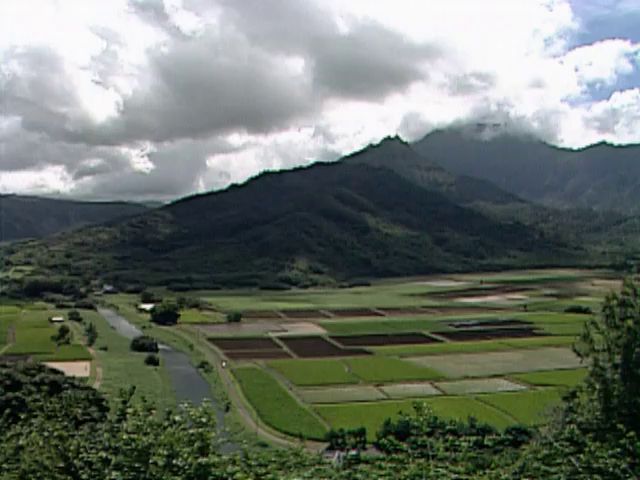 B-roll scenics of Niʻihau, Hanalei, Kauaʻi