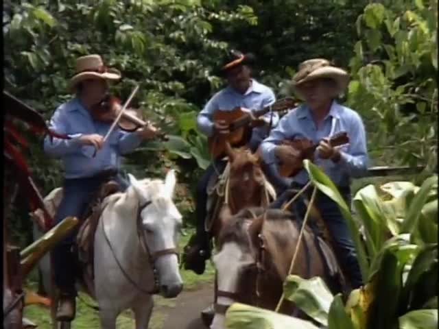B-roll horseback serenaders 6/16/87