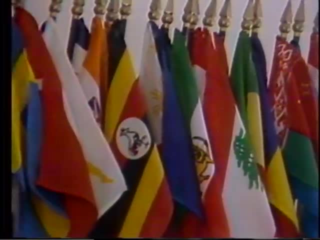Pau Hana Years : Flag Day; 1980