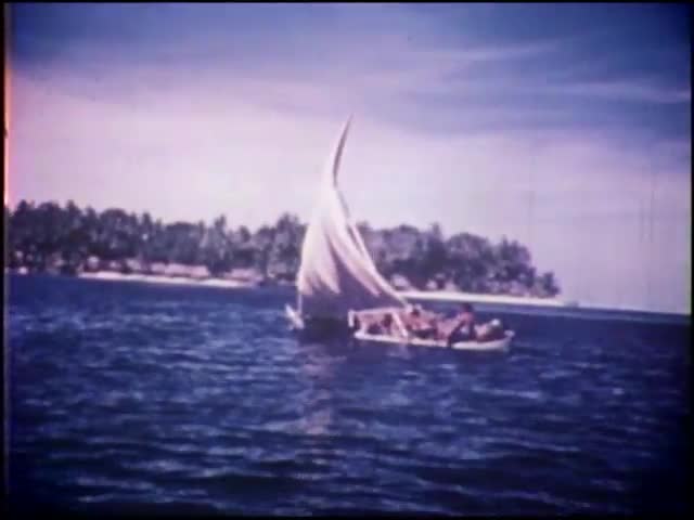 The Polynesians of Kapingamarangi 1980
