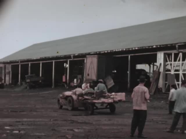 Rice & Roses : 1946 sugar strike footage ʻŌlaʻa Sugar Mill reel 1