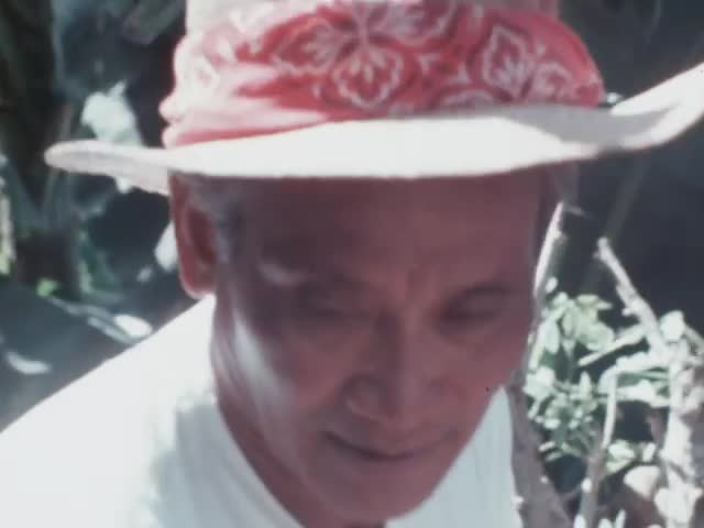 Rice & Roses : Filipino workers 1973 reel 2