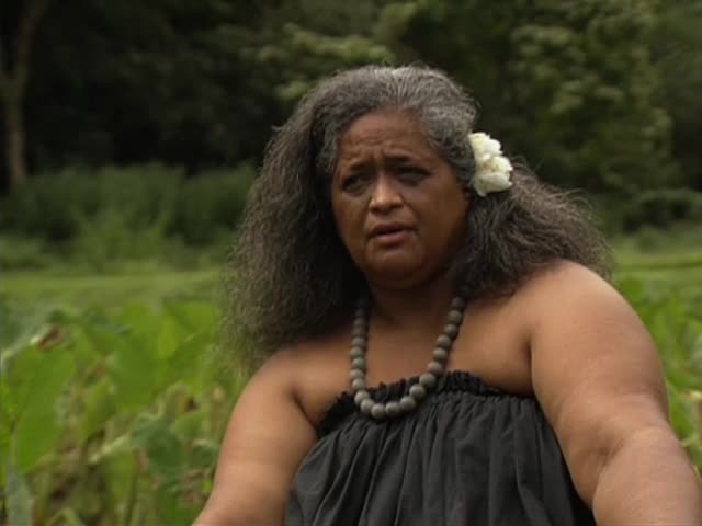 Interview with Kumu Hula Pualani Kanakaʻole-Kanahele at Waipiʻo tape 1