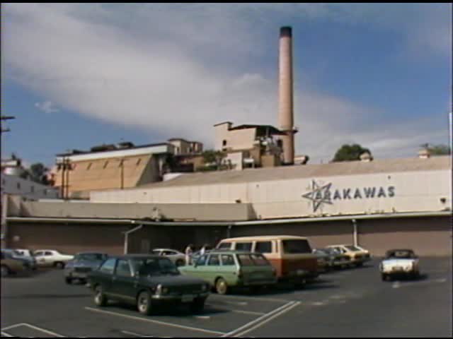 "Sugar shots" at C & H Mill 2/1/1982