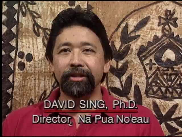Na Pua Noʻeau Programs