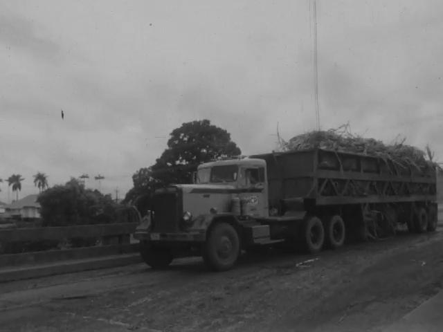 Wainaku Sugar Mill in Operation, May 1974